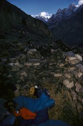 Image 278211343