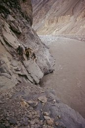 Image 278211346