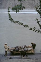 Image 278211428