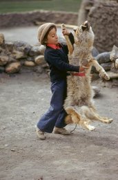 Image 278211436