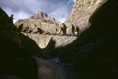 Image 278216308