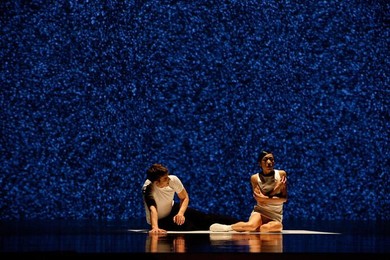 Image 278265908
