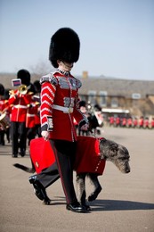 Image 278320082