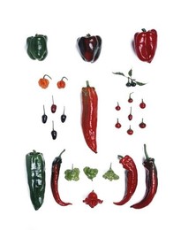 Image 278320084