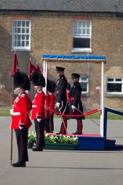 Image 278320431