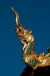 Image 278322638