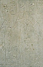 Image 278327010