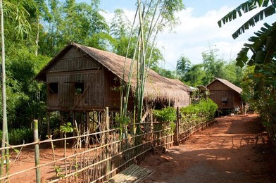 Image 278343046