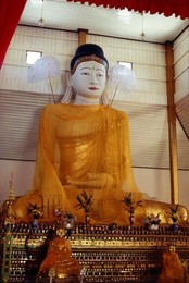 Image 278343470