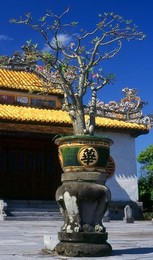 Image 278345683