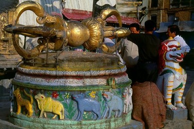 Image 278346036