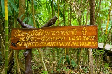 Image 278355316