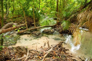 Image 278355351