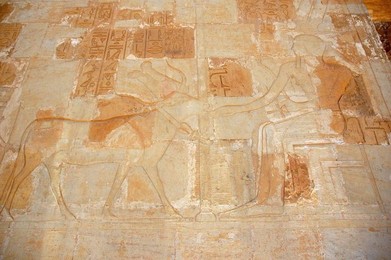 Image 278424200