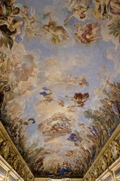 Image 278425764