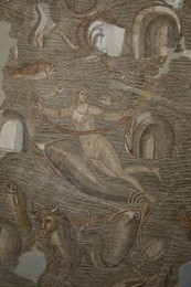 Image 278450701