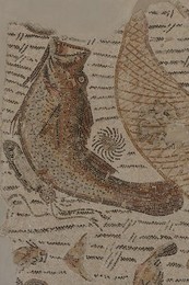 Image 278450705