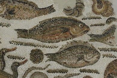 Image 278450723
