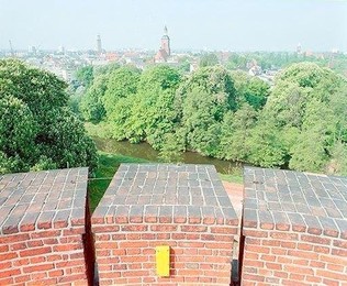 Image 278800416