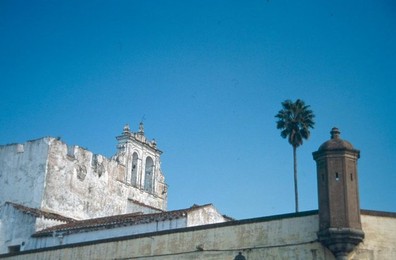 Image 278820657
