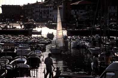 Image 278880933