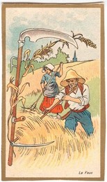 Image 278896908