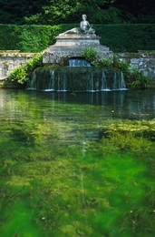 Image 278903570