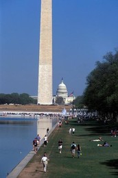 Image 278909172