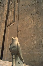 Image 278909732