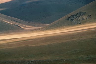 Image 278918137