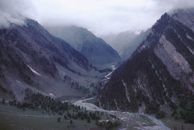Image 278932742