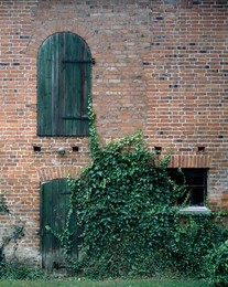 Image 278935020
