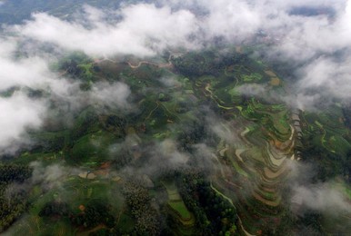 Image 278943200