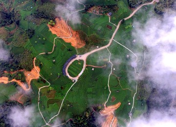Image 278943201