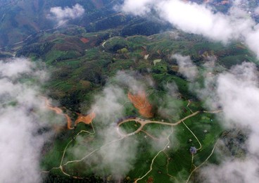 Image 278943208