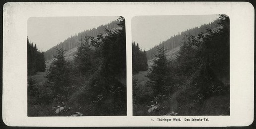 Image 278971625
