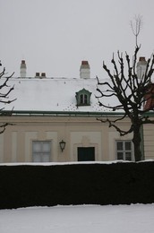 Image 278985384