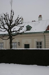 Image 278985385