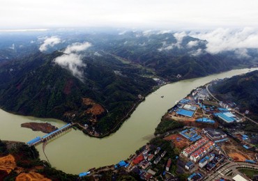 Image 279082304