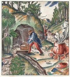 Image 279263128