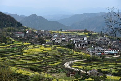 Image 279273669
