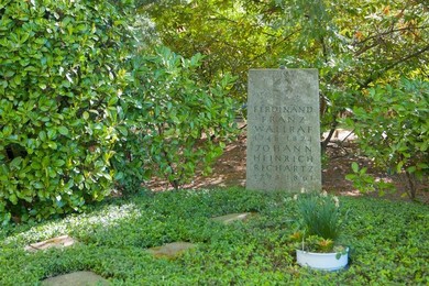 Image 279280036