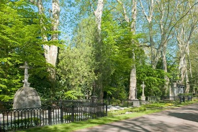Image 279280038