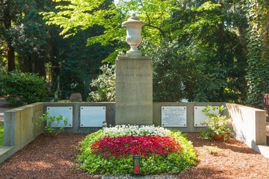 Image 279280051