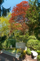 Image 279280061