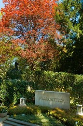Image 279280062