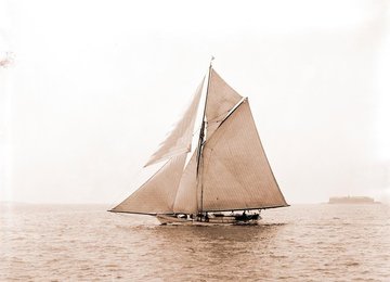 Image 279313504