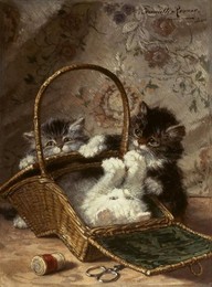 Image 279324673