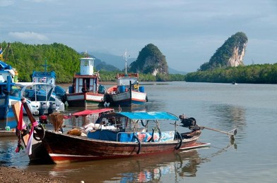 Image 279334208