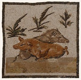 Image 279369695